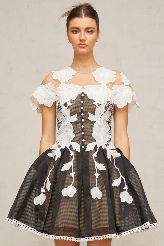 Sandrine color-blocked floral-embroidered mini dress