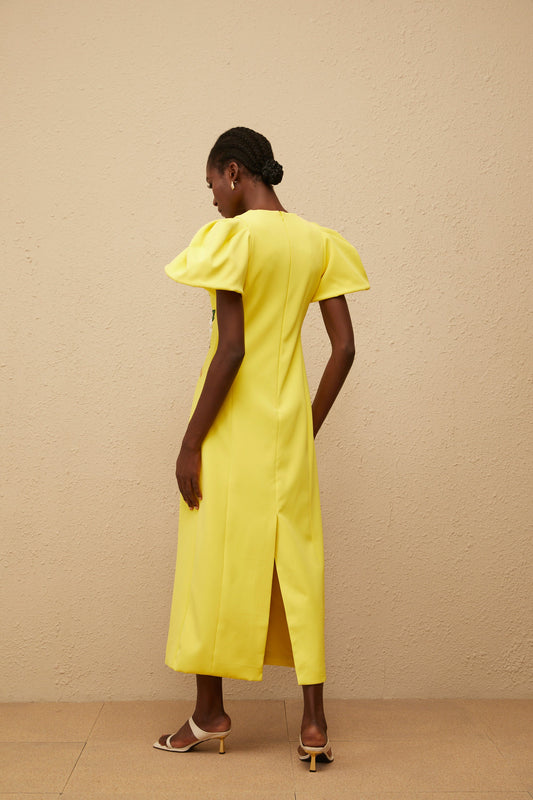 Yrjö Yellow Floral Embroidered Midi Dress