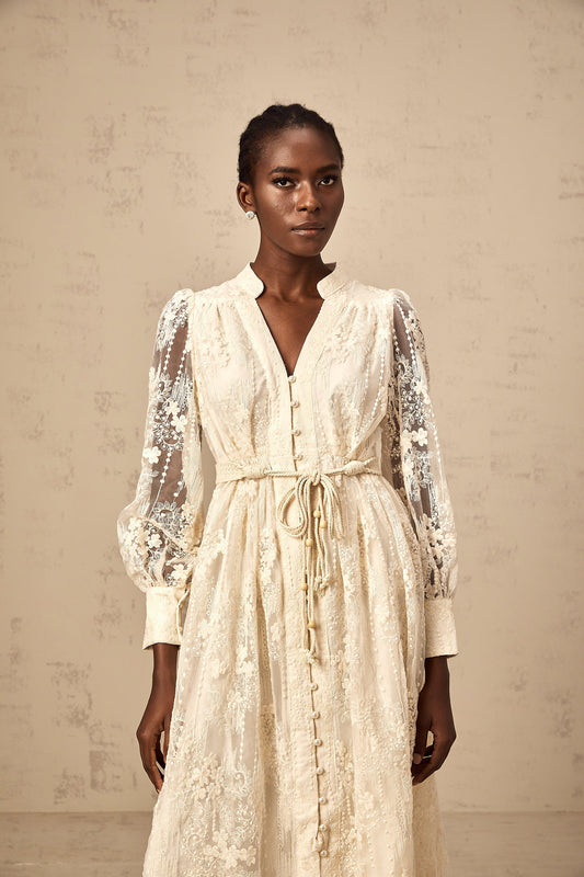 Roxane neutrals lace-embroidered midi dress