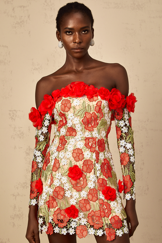 Anaya Red Rose Appliqué Embroidered Mini Dress