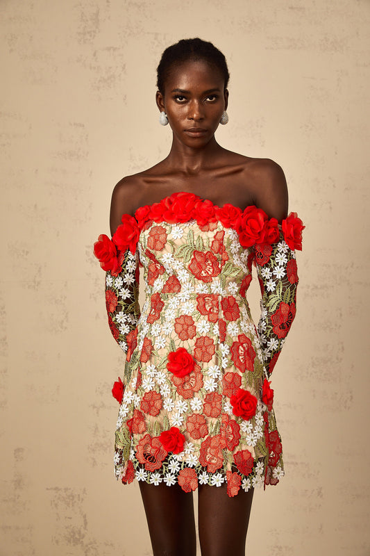 Anaya Red Rose Appliqué Embroidered Mini Dress