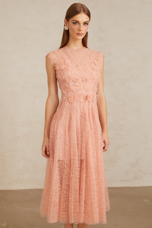 Aila Pink Shirred Guipure Lace Midi Dress