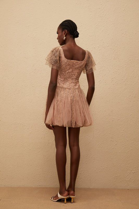 Gaëtane Brown Tulle Panel Lace Mini Dress