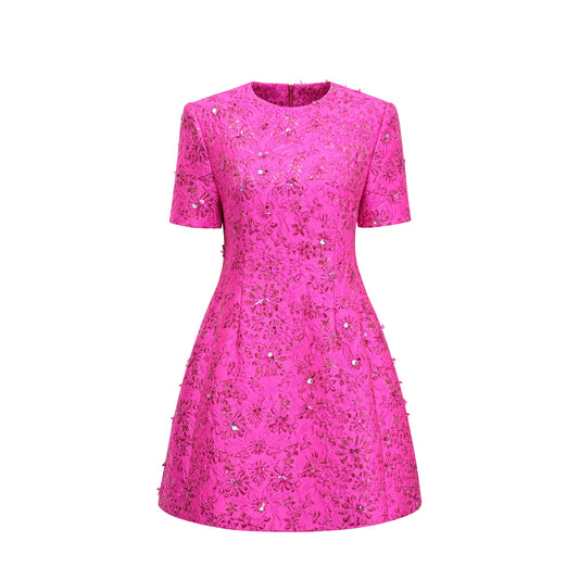 Celestia Floral-Appliqué Embellished Mini Dress in Pink